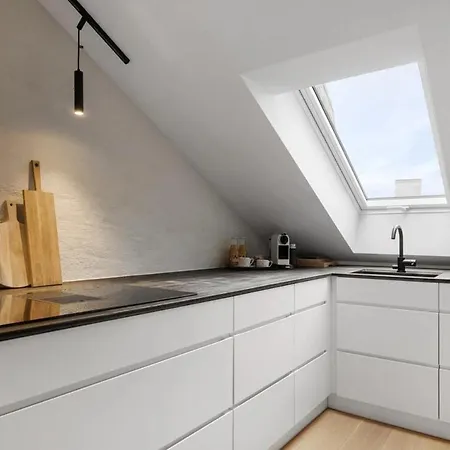 Penthouse In Frogner